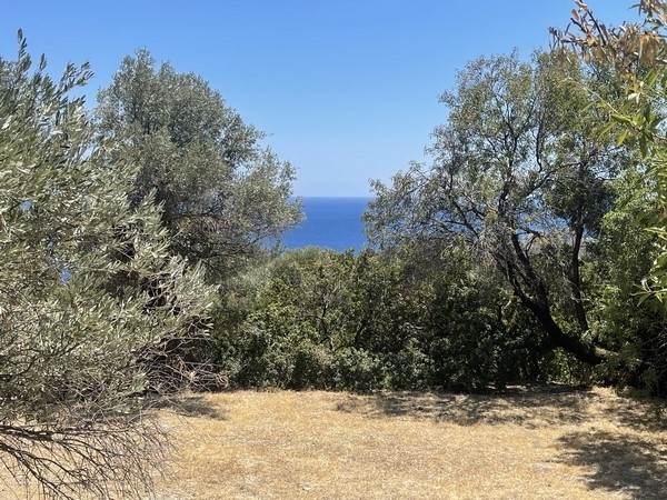 (For Sale) Land Plot || Chios/Ionia - 1.696 Sq.m, 68.000€ 